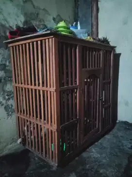Kandang bekas kucing