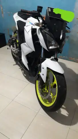 Kawasaki Ninja Z 250 Fi 2 Cylinder Albino 2013