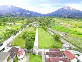Jalan Blabak-Mungkid, Tanah Pekarangan Pinggir Jalan SHM-P