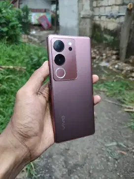 vivo v29 5g 8+8/256gb