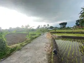 Tanah Dijual, 250 Meter Barat Kampus UII, Cocok Bangun Villa