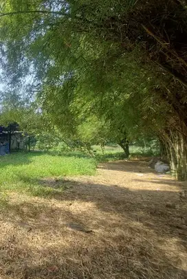 Kavling Strategis Jalan Raya Serpong Parung Luas 2420