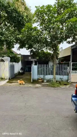 Rumah + toko siap huni dan usaha dagang