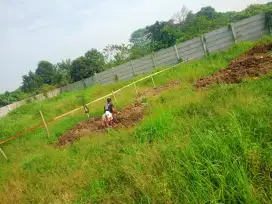 Butuh supir perusahaan