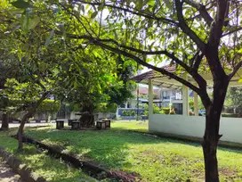 Jual Rumah Luas Pamulang Estate