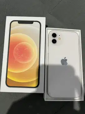 Iphone 12 128 beacukai putih