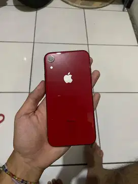 Iphone XR Inter 64gb