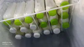 Susu kambing murni etawa