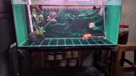 Aquarium 100x40x50 kaca 8ml fulset tinggal colok
