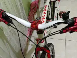 Sepeda mtb hybrid cervelo