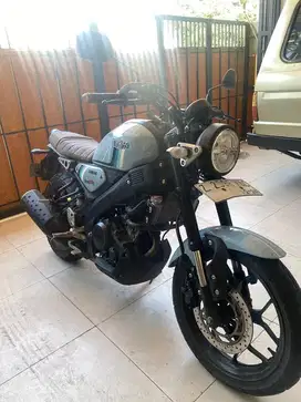 yamaha xsr 2024