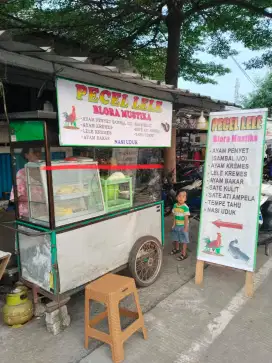 Di butuhkan pria yang berpengalaman di warung pecel ayam dan lele