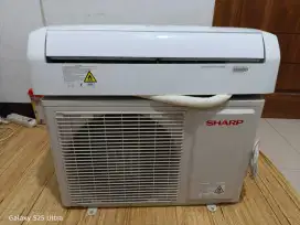 AC Sharp ½ PK Mulus