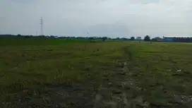 tanah spek kos mahasiswa potensi cuan