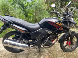 Tiger lama 2001