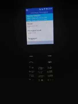 Nokia pisang 8110 4g