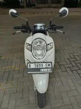 honda scoopy 2019 pajak hidup