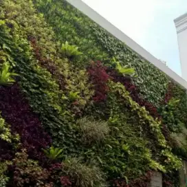 Vertical Garden taman hidup