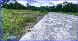 Hunian Asri di Jl. Kabupaten Barat Tugu Jogja