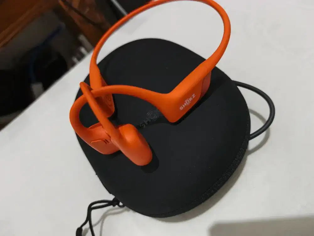 SHOKZ openrun pro 2 mini