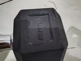 Dumbbel Berwyn 5KG 1 Pcs