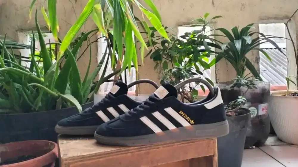 Adidas spezial size 39