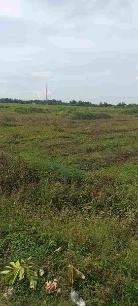 DIJUAL TANAH LOKASI WONOAYU