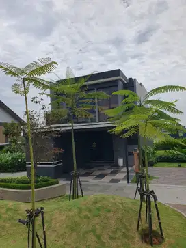 Park Serpong Tipe BLACKSLATE by Lippo Karawaci FREE PPN 100%