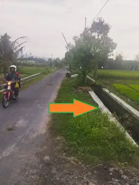BU SEGERA. DIJUAL : 1,6 JT/M. Tanah Sawah Luas 1.300 M2 Muka 18 M.