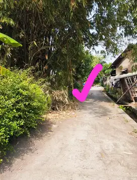 BU SEGERA DIJUAL : 1,8 Jt/M.  Tanah Pekarangan Luas 180 M2.