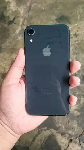 Iphone Xr 128GB Ibox