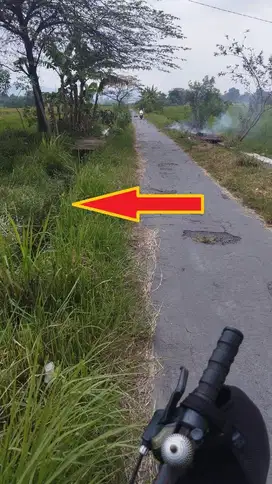 TURUN HARGA BU DIJUAL : 650 Rb/M.  Tanah Sawah Luas 1.070 M2.