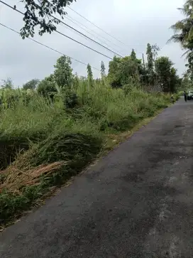 Sewa tanah murah jl palagan km 13 maron Donoharjo Ngaglik
