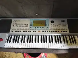 Korg pa 50 flesdisk