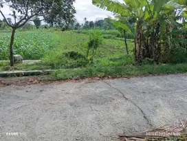Disewakan tanah dibelakang SMK Budi mulia Maguwoharjo Sleman