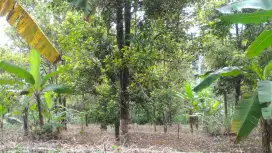SEGERA, TANAH KEBUN/KAVLING +- 300 m²