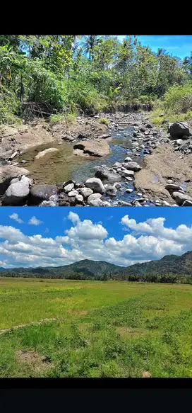 JUAL TANAH DI BORO KALIBAWANG VIEW SAWAH GUNUNG DAN SUNGAI