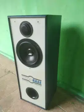 Speaker pasif 6 inc