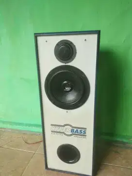 Speaker 6 inch pasif