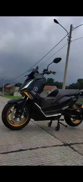 alva cervo 2023