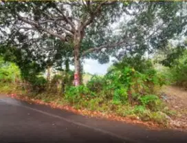 Dijual Tanah sekitar Jalan Pattallassang, Jl Poros Malino, Gowa