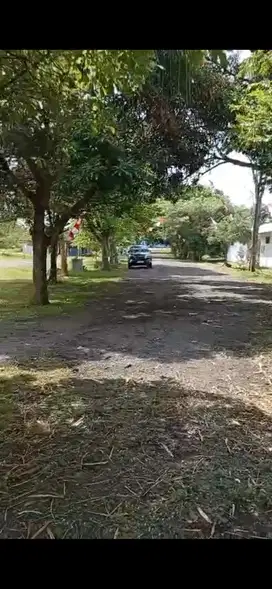 Lapangan golf lanjutkan
