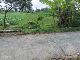 Disewakan tanah SHM belakang SMK Budi mulia Maguwoharjo