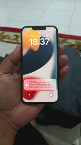 Iphone 13 . 256 ex ibox