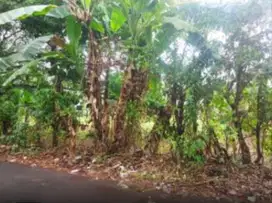 Dijual Tanah sekitar Jalan Pattallassang, Jl Poros Malino, Gowa