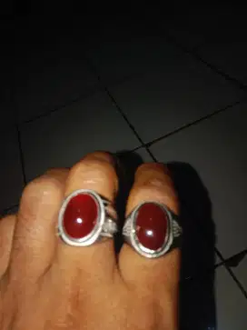 Batu red raflesia /akik darah