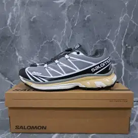 salomon XT-6 advaned