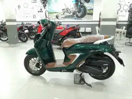 READY STOCK STAYLO ABS 2024