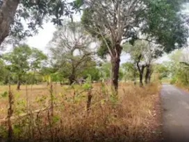 Dijual Tanah sekitar Jalan Pattallassang, Jl Poros Malino, Gowa