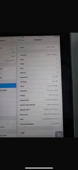 iPad 2 64Gb Wifi + Cellullar Murah